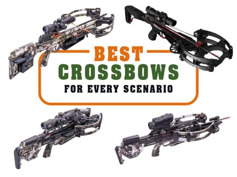 crossbow UK, buy crossbow UK, best crossbow UK, legal crossbow UK, compound crossbow UK, recurve crossbow UK, pistol crossbow UK, carbon crossbow bolts UK, crossbow bolts UK, crossbow broadheads UK, crossbow accessories UK, crossbow scope UK, crossbow case UK, crossbow wax UK, crossbow rail lube UK, crossbow cocking rope UK, crossbow tuning tools UK, crossbow maintenance kit UK, crossbow hunting crossbow UK, target shooting crossbow UK, beginner crossbow UK, advanced crossbow UK, professional crossbow UK, UK crossbow for sale, UK crossbow shop, Crossbow Gear UK, crossbows with fast UK delivery, UK legal crossbows online, buy recurve crossbow UK, buy compound crossbow UK, UK crossbow broadhead tips, UK carbon bolts crossbow shop, crossbow safety gear UK, crossbow padded case UK, lockable crossbow case UK, waterproof crossbow case UK, UK crossbow competitions 2025, UK crossbow age restrictions, UK crossbow hunting regulations, UK crossbow noise reduction accessories, silent cocking crossbow UK, UK crossbow scope sighting tips, how to sight a crossbow scope UK, UK crossbow wax and rail lube, crossbow tuning and accuracy UK, crossbow troubleshooting UK, crossbow maintenance guide UK, UK crossbow resale value guide, UK crossbow storage and transport, best scoped crossbow UK, top compound crossbow UK 2025, high power crossbow UK, UK legal crossbow draw weight, affordable crossbows UK, cheap crossbow UK delivery, UK crossbow target practice tips, crossbow training UK, UK 18+ crossbow purchase rules, UK crossbow safety rules, crossbow safety courses UK, crossbow FAQ UK buyers, reviews of UK crossbow brands, UK crossbow package deals, UK beginner crossbow kits, Crossbow Gear UK fast shipping crossbows, trusted crossbow shop UK, UK crossbow buyer protection, Crossbow Gear UK coupon codes, UK legal hunting gear crossbow, UK crossbow for pest control, UK crossbow tuning accessories, UK crossbow noise dampeners, Crossbow Gear UK padded shipping cases, buy pistol crossbow UK legally, best recurve crossbow UK, UK crossbow guide 2025, Crossbow Gear UK trusted UK supplier, buy crossbow online UK, legal hunting crossbow gear UK, UK crossbow fast delivery, compound hunting crossbow UK, recurve hunting crossbow UK, tactical crossbow UK, carbon fiber crossbow bolts UK, crossbow quiver UK, adjustable crossbow scope UK, illuminated crossbow scope UK, UK crossbow cocking device, rope cocker for crossbows UK, crank cocking aid crossbow UK, best beginner crossbow UK, youth crossbow UK, women’s crossbow UK, lightweight crossbow UK, compact crossbow UK, UK travel crossbow case, best crossbow for target shooting UK, UK crossbow repair tools, UK crossbow string replacement, durable crossbow strings UK, premium crossbow UK, high performance crossbow UK, crossbow speed and accuracy UK, quiet crossbow UK, crossbow dampening kit UK, UK legal crossbow ownership guide, 2025 crossbow law changes UK, safe crossbow storage UK, secure crossbow transport UK, hunting bolts for crossbows UK, target bolts for crossbows UK, crossbow fletching UK, best crossbow broadheads UK, expandable crossbow broadheads UK, fixed blade broadheads UK, UK crossbow tuning kits, bow press crossbow UK, crossbow serving jig UK, Crossbow Gear UK carbon bolts, hunting crossbows for sale UK, UK crossbow practice ranges, UK crossbow competition gear, crossbow safety lock UK, crossbow trigger system UK, crossbow noise dampener kit UK, padded crossbow backpack UK, hybrid crossbow case UK, tactical crossbow case UK, crossbow shooting tips UK, crossbow accuracy tuning UK, crossbow rail maintenance UK, crossbow wax application UK, best crossbow lube UK, crossbow limb dampeners UK, string silencers crossbow UK, suppressor kit crossbow UK, fast delivery crossbow bolts UK, Crossbow Gear UK maintenance supplies, UK crossbow buying guide, Crossbow Gear UK shooting accessories, affordable crossbow bolts UK, carbon hunting bolts UK, durable target bolts UK, best crossbow arrows UK, crossbow quiver attachment UK, adjustable scope crossbow UK, illuminated reticle crossbow scope UK, crossbow optics UK, red dot crossbow sight UK, high powered crossbow UK, compact hunting crossbow UK, best recurve hunting crossbow UK, tactical recurve crossbow UK, Crossbow Gear UK trusted supplier, UK crossbow news and updates, UK crossbow training clubs, UK legal crossbow tips, Crossbow Gear UK pest control crossbows, UK carbon bolts crossbow store, safe crossbow target shooting UK, crossbow bowstring wax UK, best rope cocking aid UK, UK crank cocking device for crossbows, crossbow trigger pull adjuster UK, UK bow press for crossbows, premium crossbow case UK, lockable hard crossbow case UK, waterproof hybrid crossbow case UK, affordable padded crossbow case UK, Crossbow Gear UK online store, crossbow package deals UK 2025, best crossbows for beginners UK, professional target crossbows UK, UK hunting training crossbow gear, Crossbow Gear UK broadhead packs, UK crossbow wax kit, crossbow tuning service UK, crossbow accessory bundles UK, advanced crossbow packages UK, best recurve crossbow for beginners UK, UK tactical compound crossbows, crossbow accuracy guide UK, safe cocking rope for crossbows UK, noise dampening crossbow UK, vibration dampening crossbow kit UK, Crossbow Gear UK carbon arrows, UK fast shipping crossbow parts, UK archery and crossbow accessories, crossbow padded strap UK, UK lightweight travel crossbow case, tactical crossbow storage UK, crossbow case with bolt compartments UK, crossbow padded divider case UK, UK high power hunting crossbows, quiet recurve crossbow UK, compact pistol crossbow UK, UK crossbow noise control, carbon bolt crossbow sets UK, UK durable broadheads for crossbows, expandable hunting tips crossbow UK, best fixed blade broadheads UK, safe broadhead storage UK, crossbow maintenance wax and lube UK, UK cocking aid with safety handles, bowstring serving jig UK shop, crossbow string dampeners UK, high performance crossbow silencers UK, UK tactical hunting crossbows, Crossbow Gear UK fast delivery bolts, UK legal crossbow purchase guide, UK 18+ crossbow buying rules, UK crossbow rail wax and lube, recurve vs compound crossbow UK, beginner crossbow setup UK, UK target crossbow buyer’s guide, UK pest control crossbow legal info, tactical carbon crossbow bolts UK, crossbow padded hard case UK, Crossbow Gear UK buyer protection, UK crossbow best reviews 2025, hunting crossbow legality UK, best crossbow tuning kit UK, UK crossbow safety handling tips, trusted crossbow supplier UK, UK advanced crossbow buyers guide, Crossbow Gear UK discount codes, UK affordable compound crossbow, UK silent cocking system crossbow, tactical crossbow accessories UK, crossbow accuracy upgrade kit UK, premium crossbow tuning kit UK, Crossbow Gear UK premium supplies, waterproof tactical crossbow case UK, crossbow with illuminated scope UK, beginner friendly crossbow packages UK, best broadheads for UK crossbows, UK crossbow transport padded case, crossbow padded backpack UK shop, crossbow serving repair tools UK, Crossbow Gear UK carbon hunting bolts, UK best value crossbows, trusted UK crossbow shop, 2025 UK crossbow regulation guide, Crossbow Gear UK fast dispatch store, buy crossbow online worldwide, best hunting crossbow USA, recurve hunting crossbow Canada, tactical crossbow Australia, compound crossbow Europe, crossbow broadheads USA, crossbow bolts Canada, hunting crossbows Australia, carbon fiber crossbow bolts USA, crossbow tuning tools USA, crossbow maintenance kit Europe, fast shipping crossbows USA, beginner crossbow package USA, best recurve crossbow Canada, advanced compound crossbow Australia, high power hunting crossbow USA, affordable crossbows Europe, global crossbow accessories online, carbon bolts for crossbow USA, crossbow cocking rope Canada, crossbow scope USA, illuminated crossbow scope Europe, tactical recurve crossbow Australia, legal crossbow ownership USA, crossbow hunting abroad guide, international crossbow shipping, worldwide crossbow fast delivery, carbon crossbow bolts worldwide, best target crossbows Europe, crossbow noise reduction accessories USA, crossbow tuning and accuracy Canada, crossbow string wax Australia, crossbow padded case Europe, waterproof crossbow case USA, hybrid crossbow case Canada, tactical crossbow storage worldwide, global crossbow safety tips, crossbow rail lube USA, crossbow safety lock Canada, crossbow trigger system Europe, red dot crossbow sight USA, illuminated reticle crossbow scope Canada, compact pistol crossbow USA, youth crossbow Canada, women’s crossbow Europe, lightweight crossbow Australia, best hunting crossbow worldwide, professional crossbow packages USA, global crossbow buyer’s guide, trusted crossbow suppliers worldwide, worldwide crossbow deals 2025, top compound crossbow UK 2025, buy compound crossbow UK 2025, best compound crossbows UK 2025, Mission SUB‑1 XR UK 2025, TenPoint Viper S400 UK 2025, Ravin R26X UK 2025, Barnett HyperTac 420 UK 2025, Excalibur Assassin 400 TD UK 2025, Crossbow Gear UK premium compound crossbows 2025, fast delivery compound crossbow UK, UK’s best value compound crossbow 2025, Mission SUB‑1 XR premium pick UK, TenPoint Viper S400 editor’s choice UK, Ravin R26X high‑performance crossbow UK, Barnett HyperTac 420 best value crossbow UK, Excalibur Assassin 400 TD reliability pick UK, legal compound crossbow UK 2025, compact compound crossbow UK 2025, high speed UK compound crossbow 2025, UK crossbow buyers 2025 guide, Crossbow Gear UK accessories 2025, beginner friendly compound crossbow UK, hunting compound crossbow UK 2025, precision compound crossbow UK 2025, UK premium crossbow packages 2025, UK fast delivery crossbow gear, adjustable draw weight crossbow UK 2025, durable compound crossbows UK 2025, recurve vs compound crossbow UK, buy online compound crossbow UK 2025, Crossbow Gear UK trusted retailer 2025, UK compound crossbow maintenance tips, best bolts for compound crossbow UK 2025, top rated UK compound crossbows 2025, secure payment crossbow UK 2025, UK legal crossbow ownership guide, professional compound crossbow UK 2025, carbon bolts compound crossbow UK 2025, UK’s top compound crossbows for hunting 2025, complete compound crossbow package UK, Crossbow Gear UK new arrivals 2025